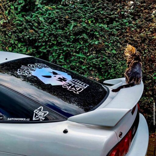 Alternative view of 'Angry Kitteh Cat' XL 55cm Rear Window Decal